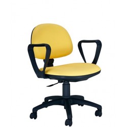 CADIRA ERGONOMICA 